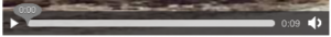 Figure 5.1. The native video controls in Firefox 4