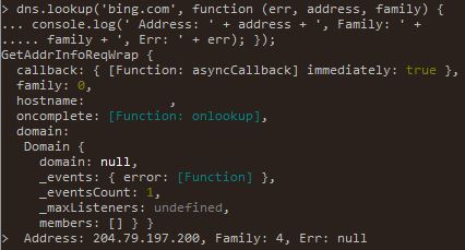 Node.js DNS lookup