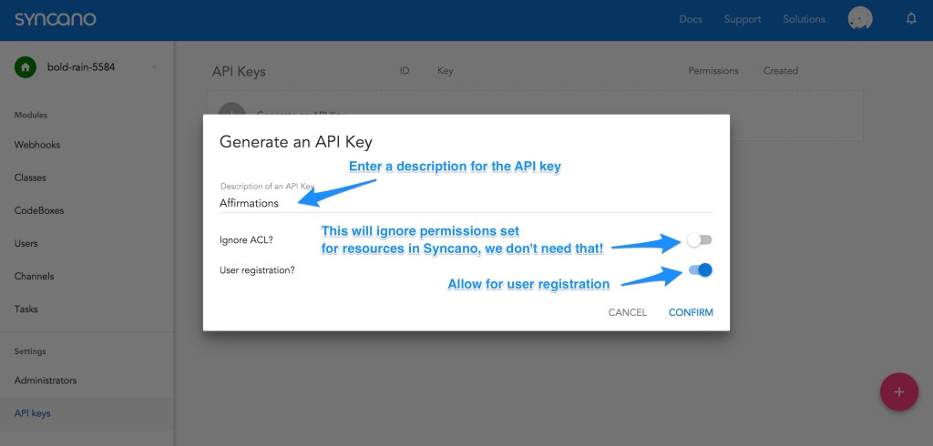 Inputting in API key settings