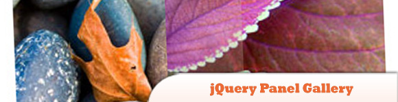 jQuery Panel Gallery