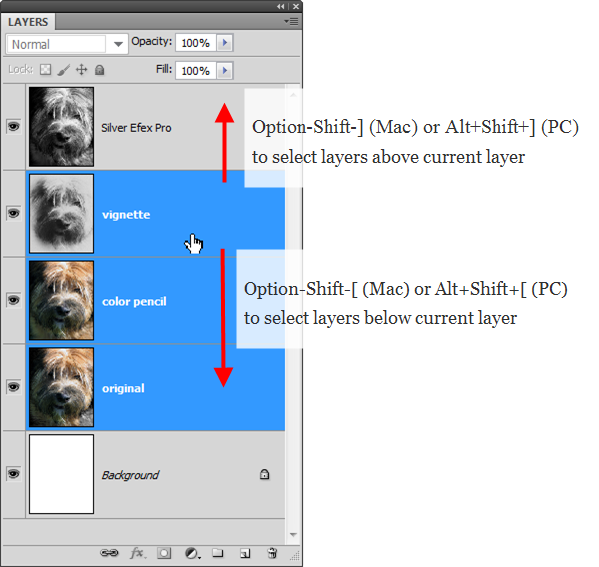 Photoshop Shortcut For Merge Layers Mac