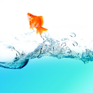 Are You Easily Forgotten? Here's How to Become Memorable