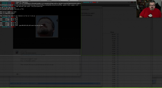 TMUX session window