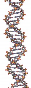 Genetic Algorithms in Ruby, Part I