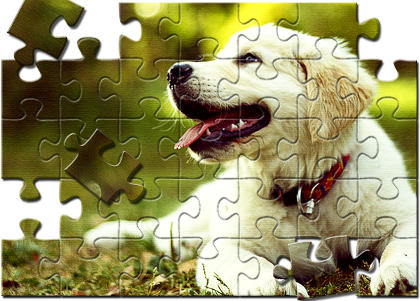 Adobe Photoshop Cs3 Puzzle Texture Download Free