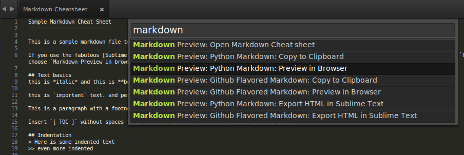 MarkdownPreview Options