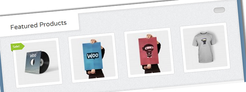 10 of the Best WooCommerce Themes