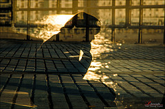 Reflections of a thinker.
