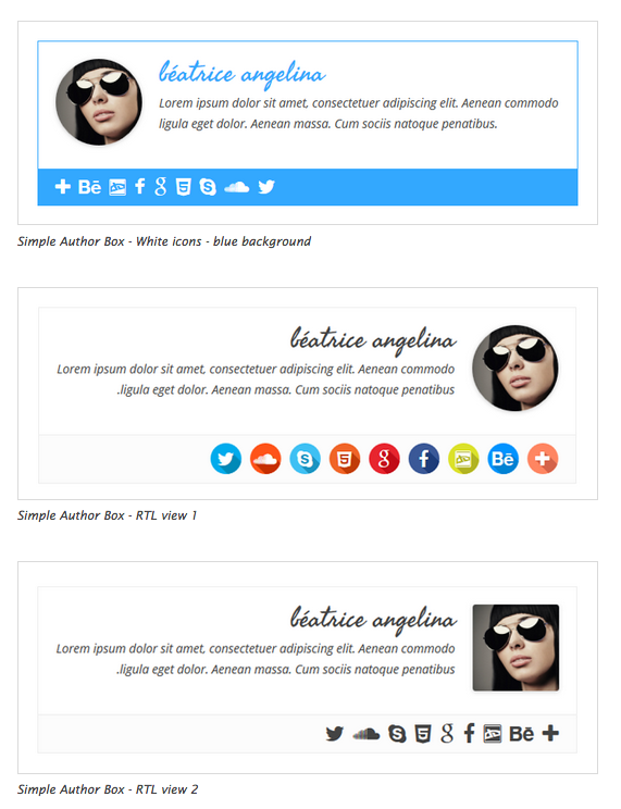 11 Of The Best WordPress Author Bio Plugins