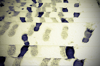 Content Research: Click Tracking, Heatmaps, and Recordings