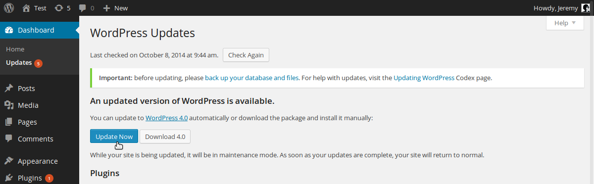 A Guide to Updating WordPress, Plugins and Themes