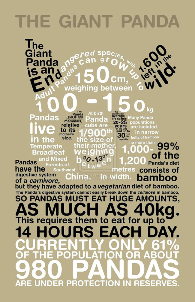 Giant Panda Infographic