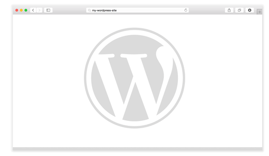 WordPress Errors