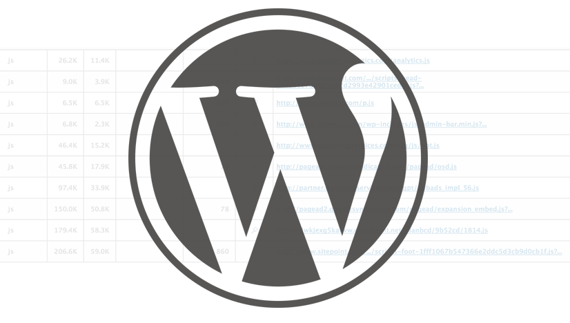 WordPress Asset Handling