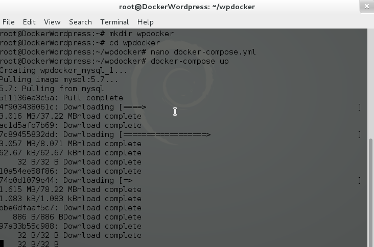 docker ip address not working