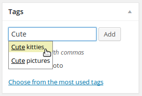 Add a WordPress tag