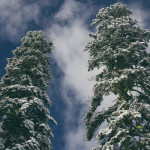 Ruby Interview Questions: LRU Cache and Binary Trees