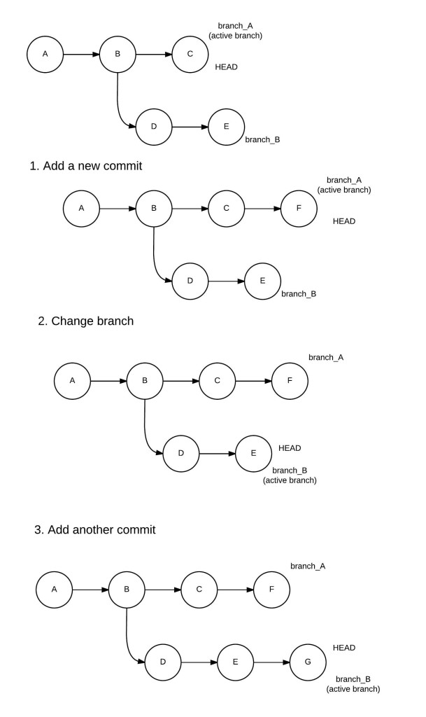 Branches and HEAD