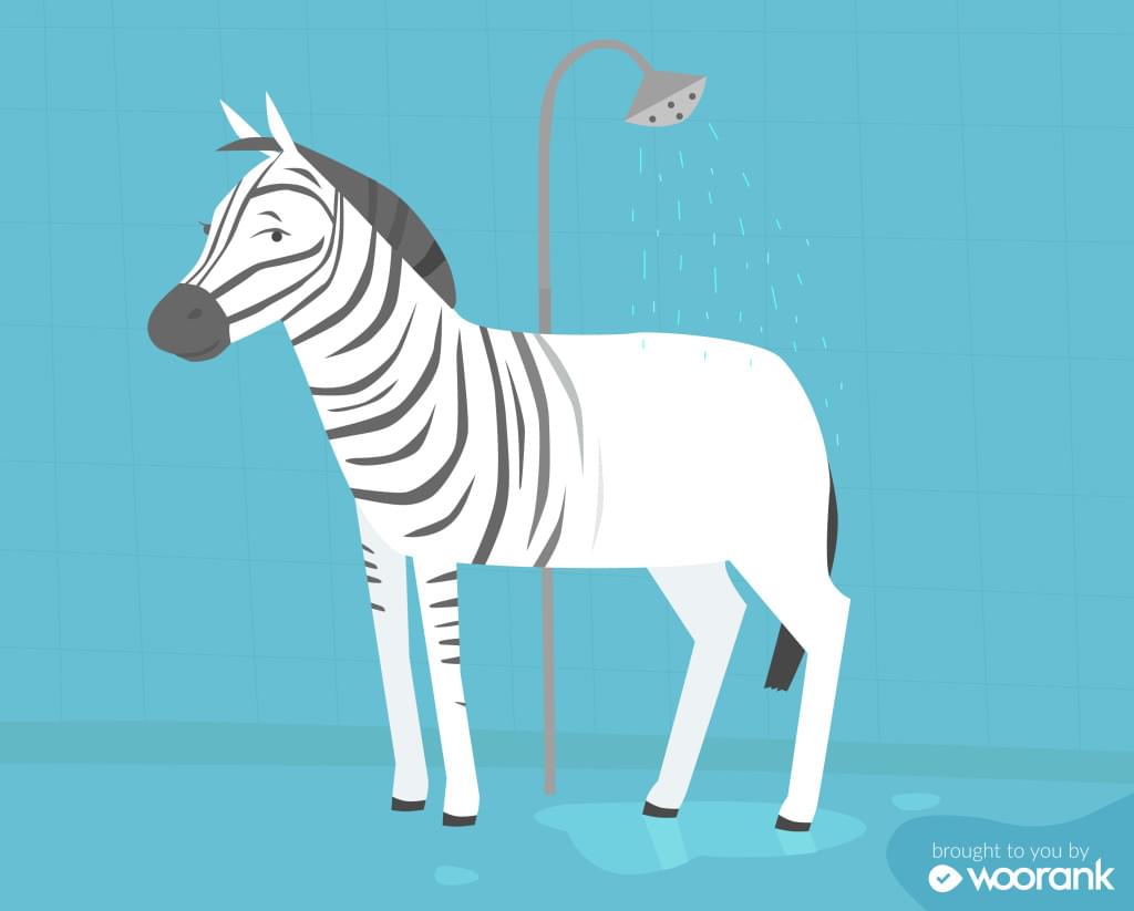 6 SEO Myths Debunked for 2017 & Beyond