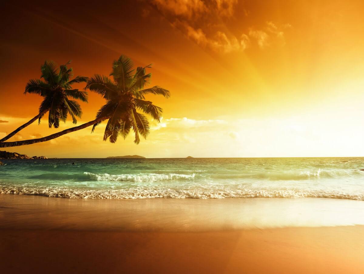 (Looking out at the ocean. Sun sets in top right. Palm trees reach in from the left edge.)