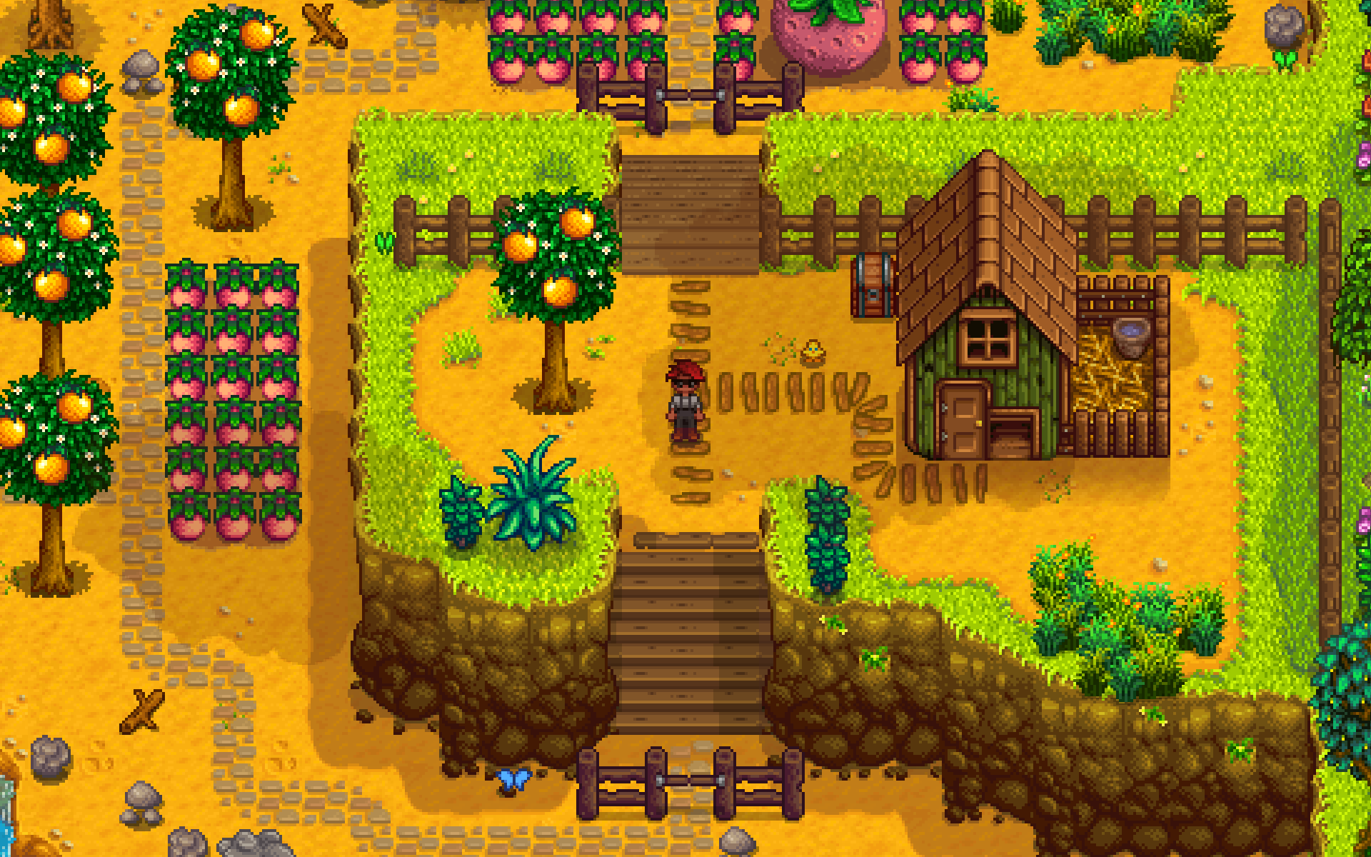 22+ Beginner Good Stardew Valley Farm Layout Pics