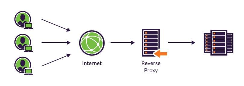 Reverse Proxy