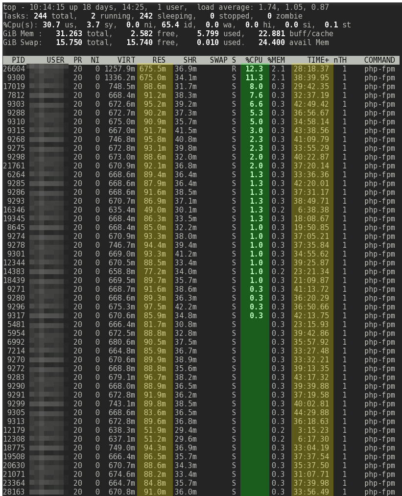 Linux top php-fpm static pm