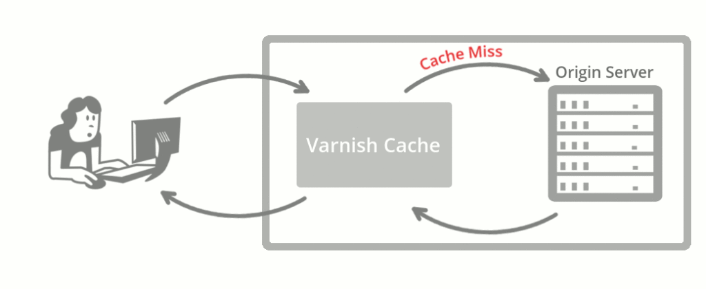 Varnish cache miss