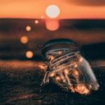 An Introduction to MongoDB