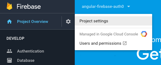 Firebase project setting