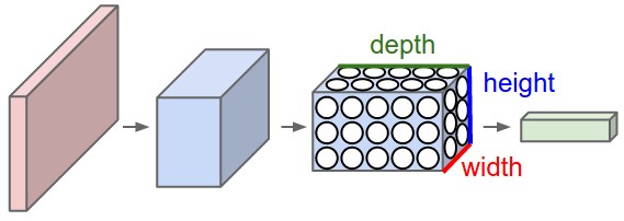 Convoluted Neural Networks