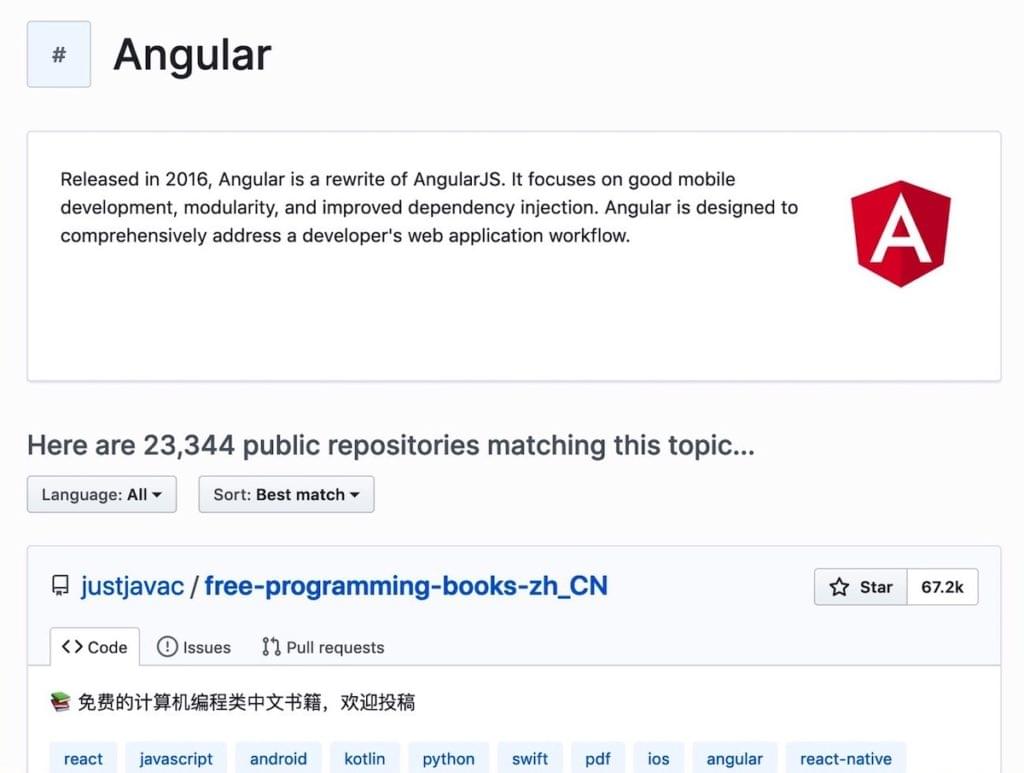 Angular - Career Transition Into Web Development