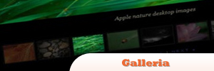 jQuery-Galleria.jpg