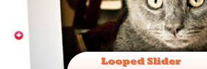 jQuery-Looped-Slider.jpg