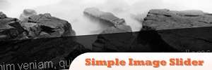 jQuery-Simple-Image-Slider.jpg