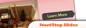 jQuery-Start-Stop-Slider.jpg