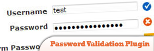 Password-Validation-Plugin.jpg